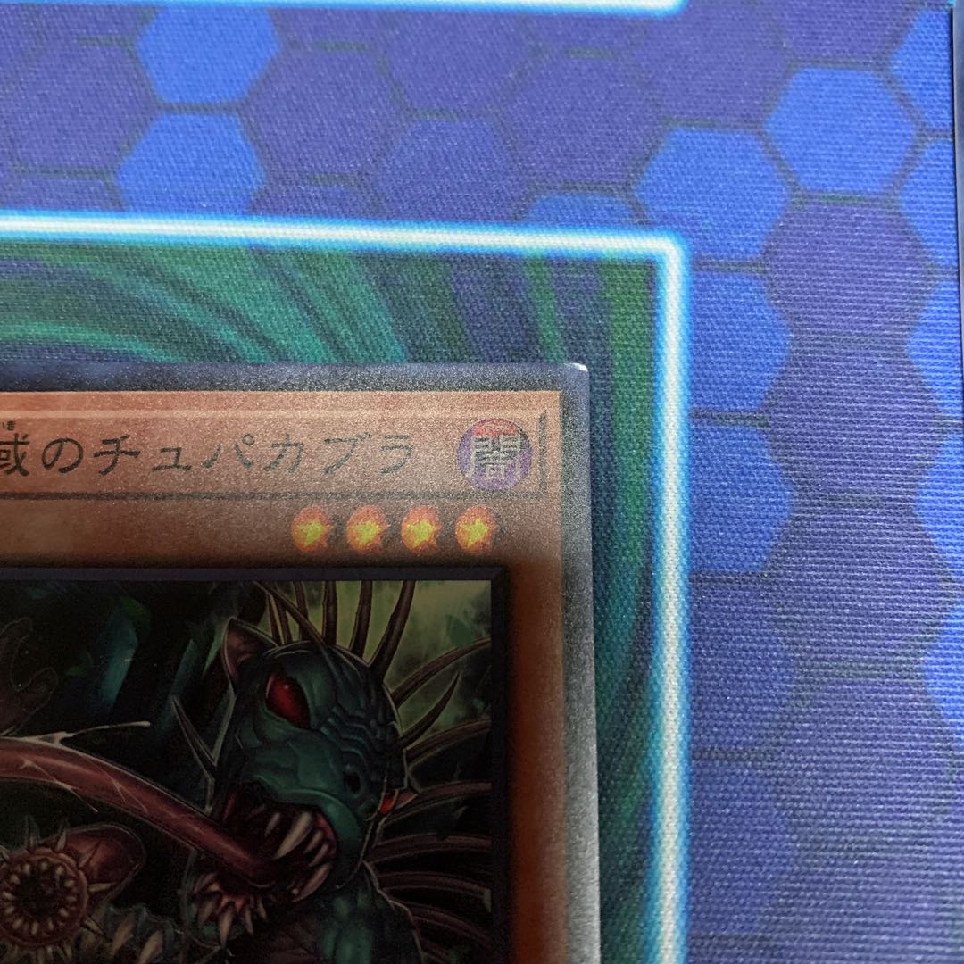 未界域のネッシー 他 カド傷あり