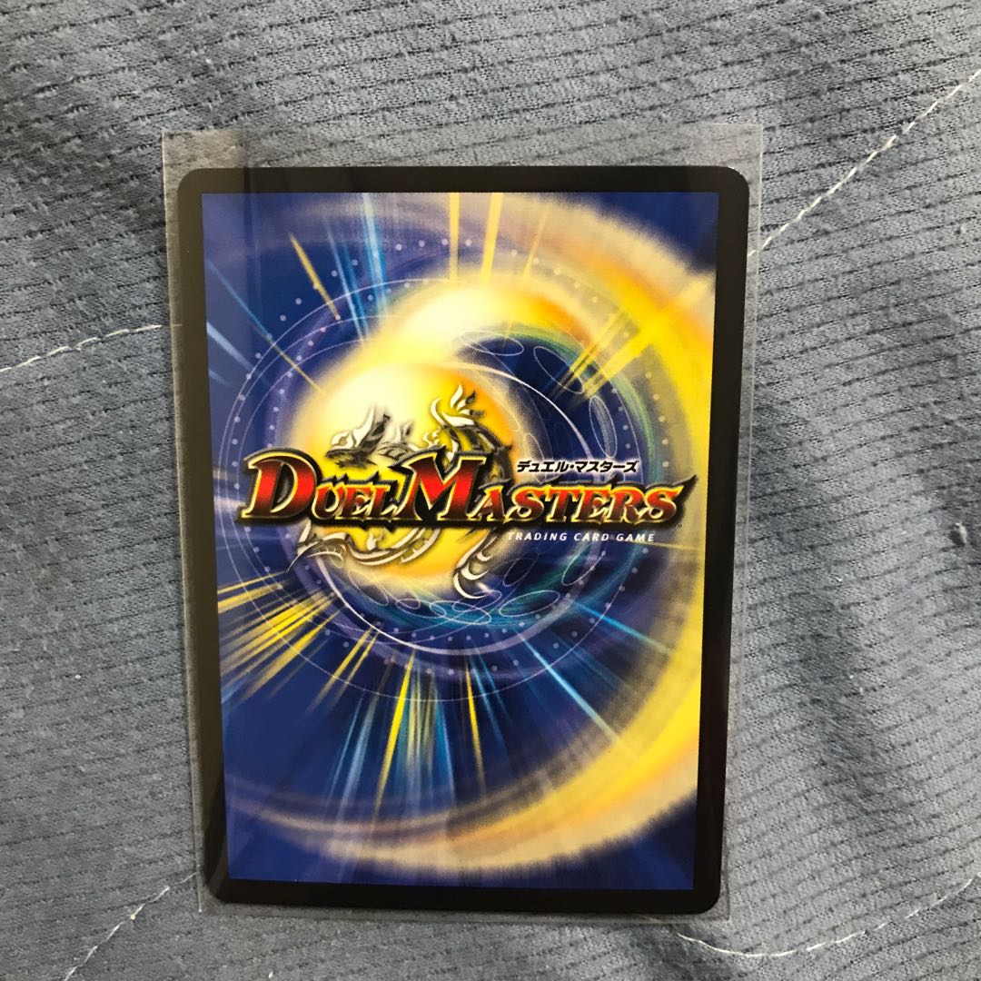 我怒の鎖 パンサーベア