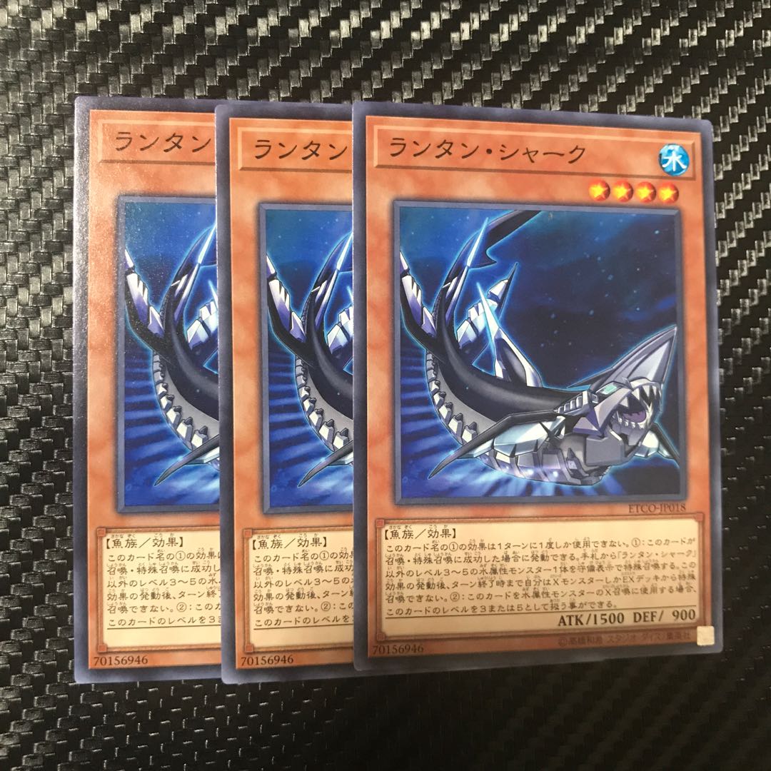 ランタン・シャーク ノーマル