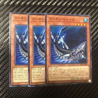 ランタン・シャーク ノーマル