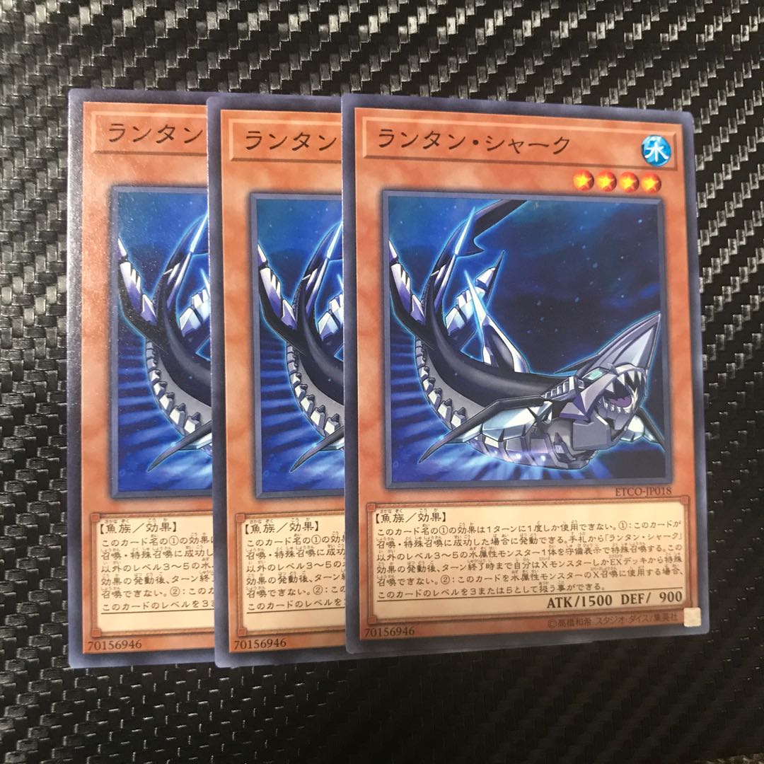 ランタン・シャーク ノーマル