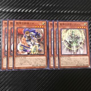 ドラグマセット 1枚