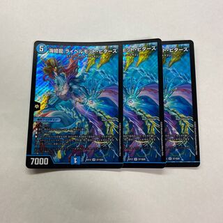 海姫龍 ライベルモット・ビターズ　3枚