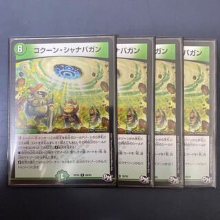 コクーン・シャナバガン