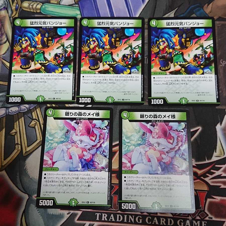 猛烈元気バンジョー & 眠りの森のメイ様