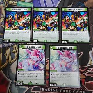 猛烈元気バンジョー & 眠りの森のメイ様