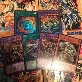 化石融合セット