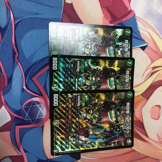 ベアシガラ　3枚セット