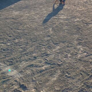 クリスペ様専用