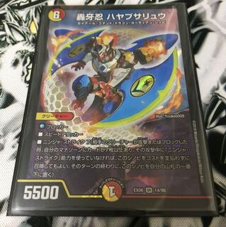 ハヤブサリュウ