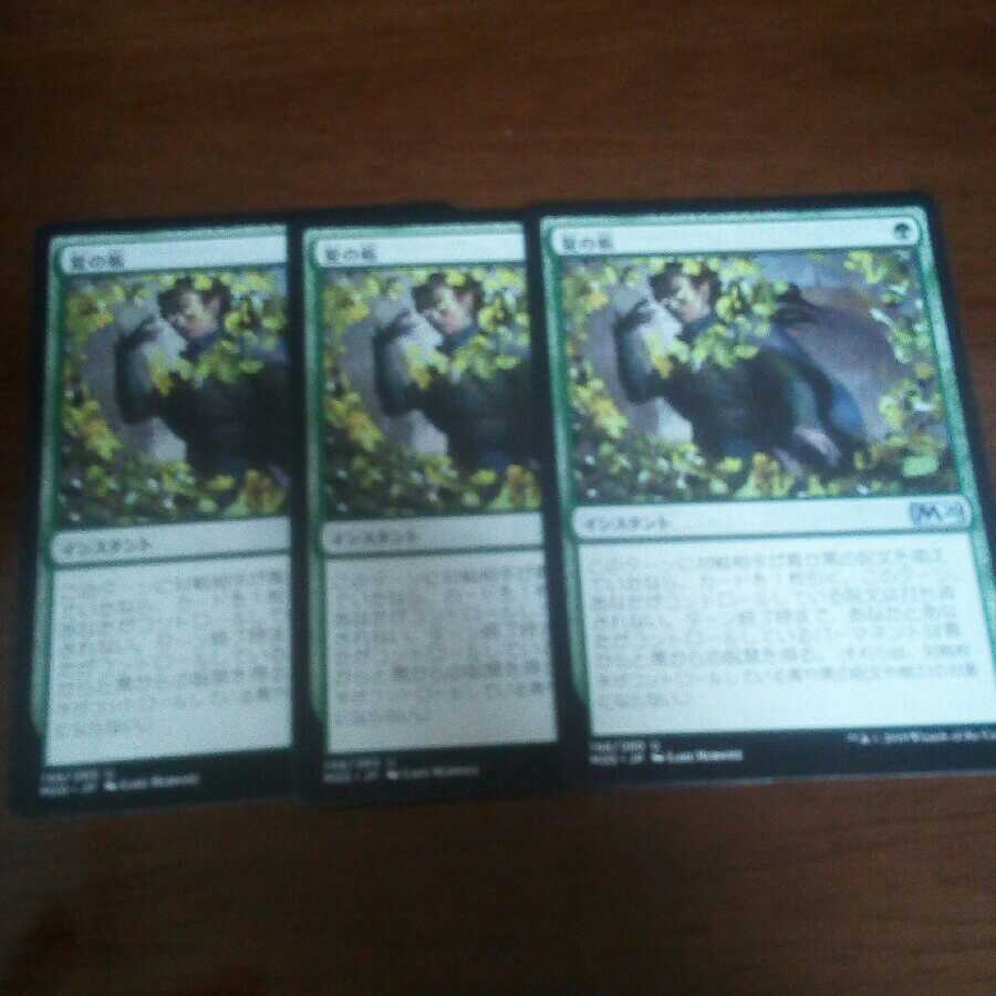 mtg  夏の帳　最安値