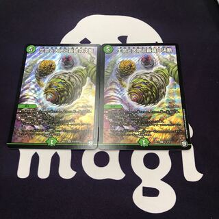 生命と大地と轟破の決断 SR 2枚