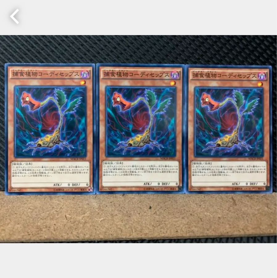 【ぽぽたん】遊戯王 5281 捕食植物コーディセップス 3枚 ノーマル