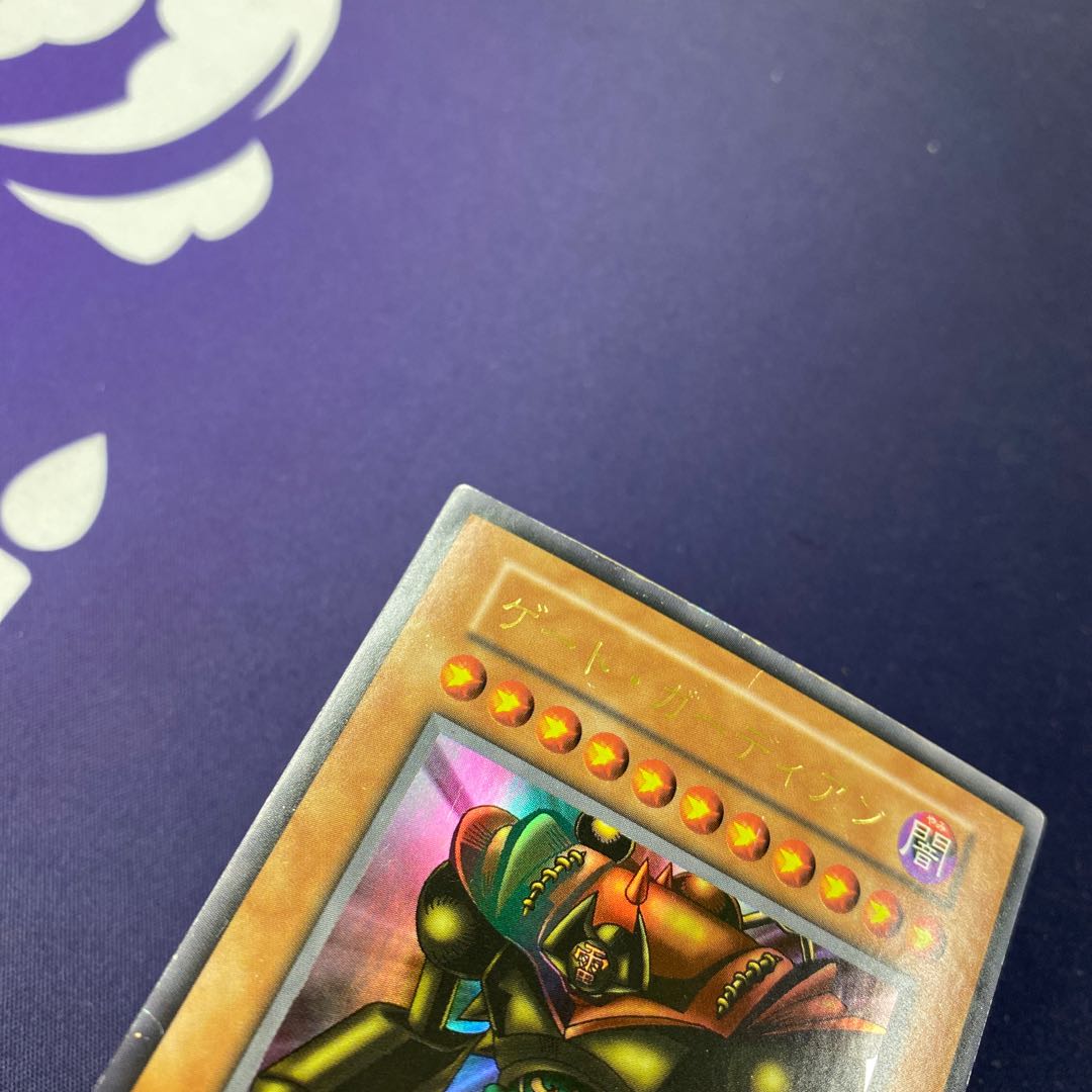 Gate Growlithe Anne Ultra Rare Early magi graded