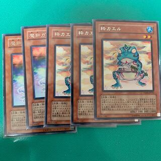 粋カエル　レア　魔知ガエル　レア