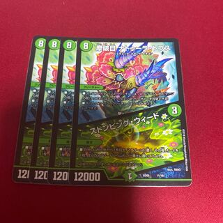 摩破目 ナトゥーラ・トプス｜ストンピング・ウィード