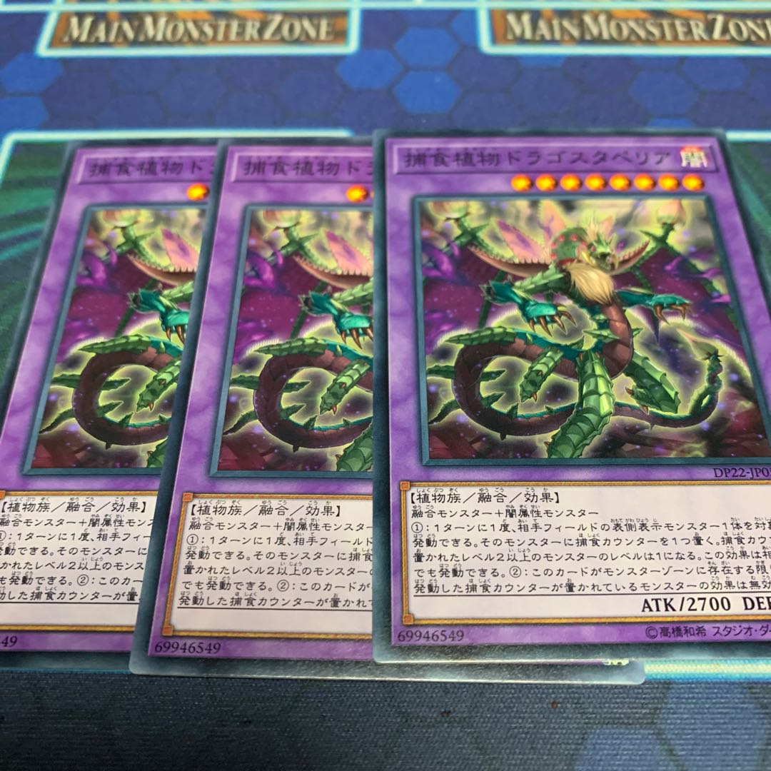 捕食植物ドラゴスタペリア ノーマル