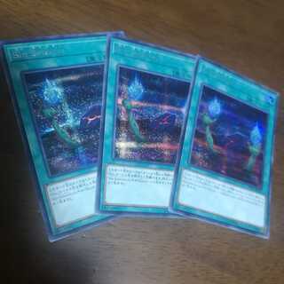 【3枚セット】Sin Selector SE 20TH-JPC07