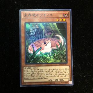 ルーズリーフ様専用 遊戯王 未界域のツチノコ スーパーレア