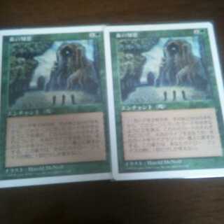 森の知恵　最安値