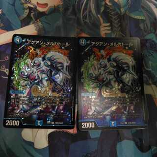 アクアンメルカトール 2枚