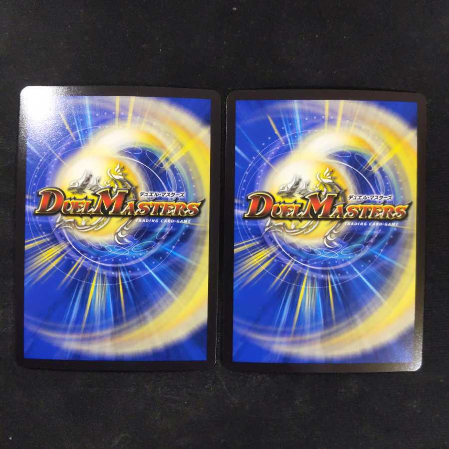 闇鎧亜クイーン・アルカディアス 2枚