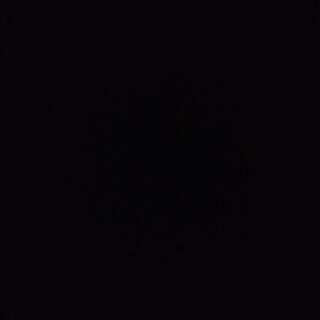 うぱぁ様専用 1枚