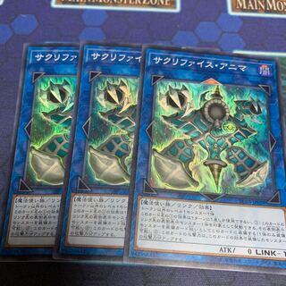 サクリファイス・アニマ