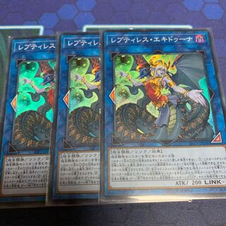 レプティレス・エキドゥーナ