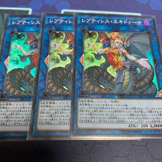 レプティレス・エキドゥーナ