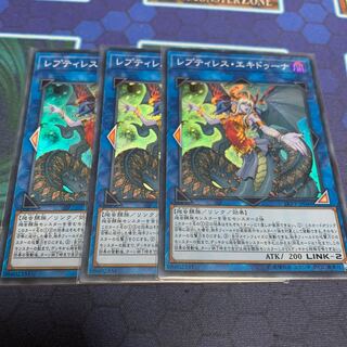 レプティレス・エキドゥーナ