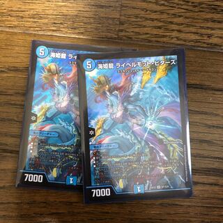 海姫龍 ライベルモット・ビターズ2枚