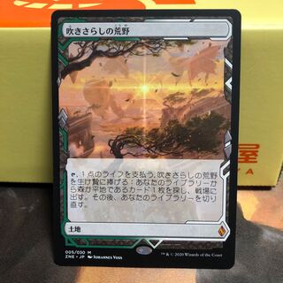 吹きさらしの荒野