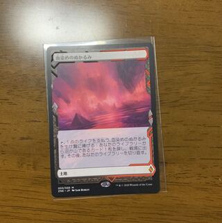 michelさん用　血染めのぬかるみ、超音速女王モスラ