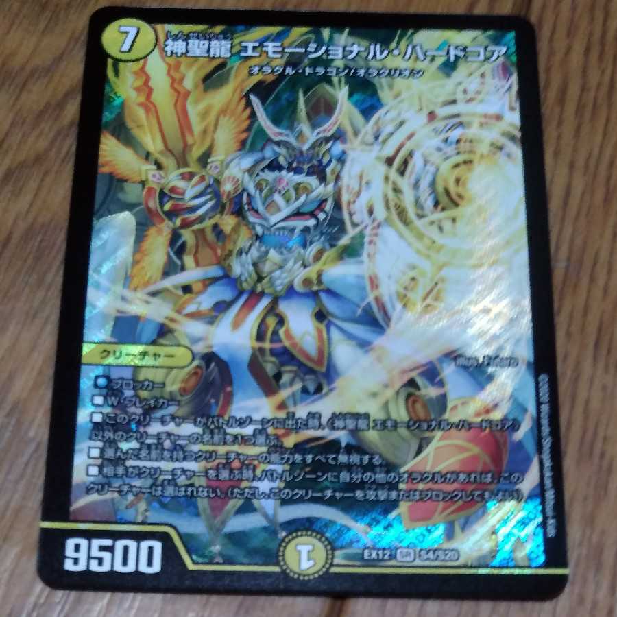 神聖龍 エモーショナル・ハードコア