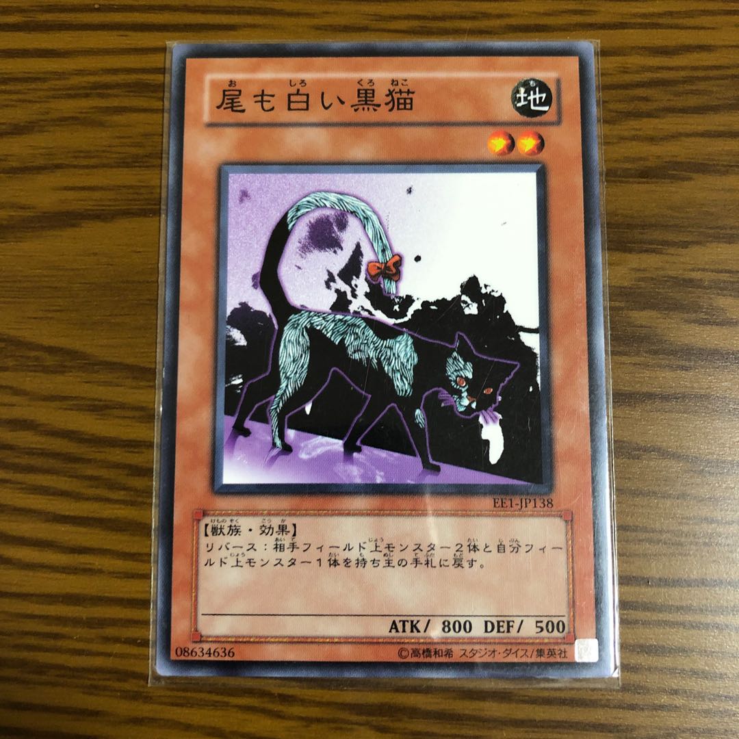 尾も白い黒猫 ノーマル