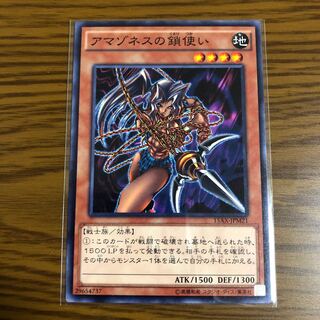 アマゾネスの鎖使い ノーマル