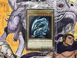 New and Unopened] Yu-Gi-Oh! Blue-Eyes White Dragon SCB