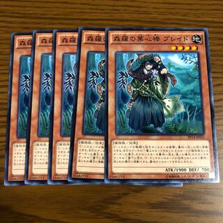 Sylvan Bladefender Normal