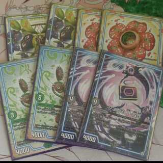 ラフシア 四式 スカップ ワイラビ 各2