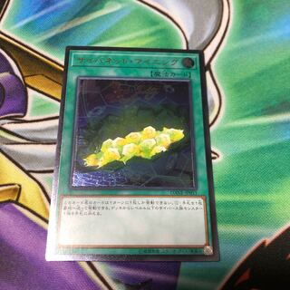 サイバネット・マイニング