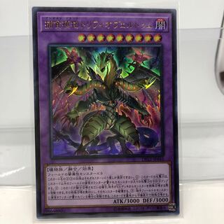 捕食植物トリフィオヴェルトゥム ウルトラレア