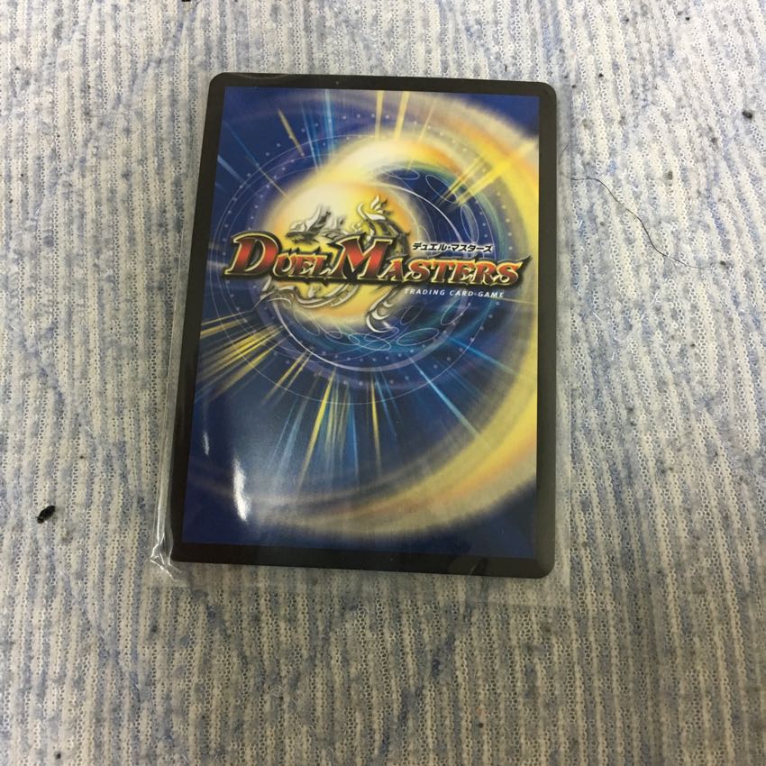 木村様専用 シャコガイル ボルシャック