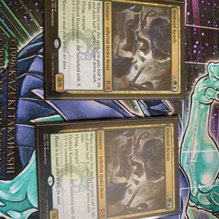 ハイドロイド混成体