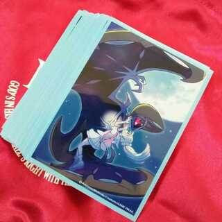 【使用品】ルナアーラ デッキシールド