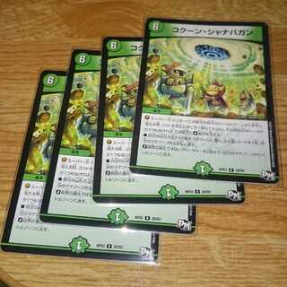 コクーン・シャナバガン