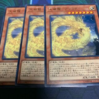 天威龍-アシュナ レア