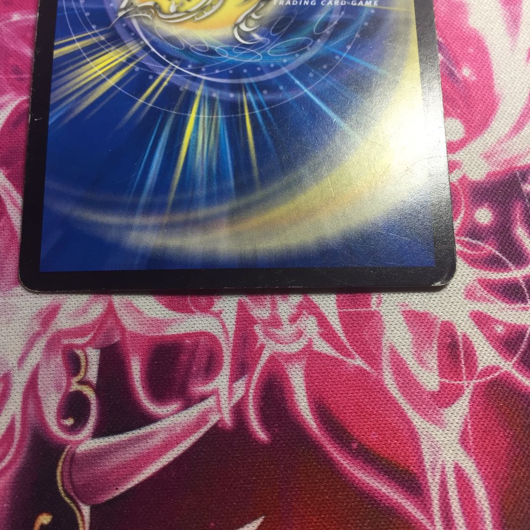 「絶対の楯騎士」