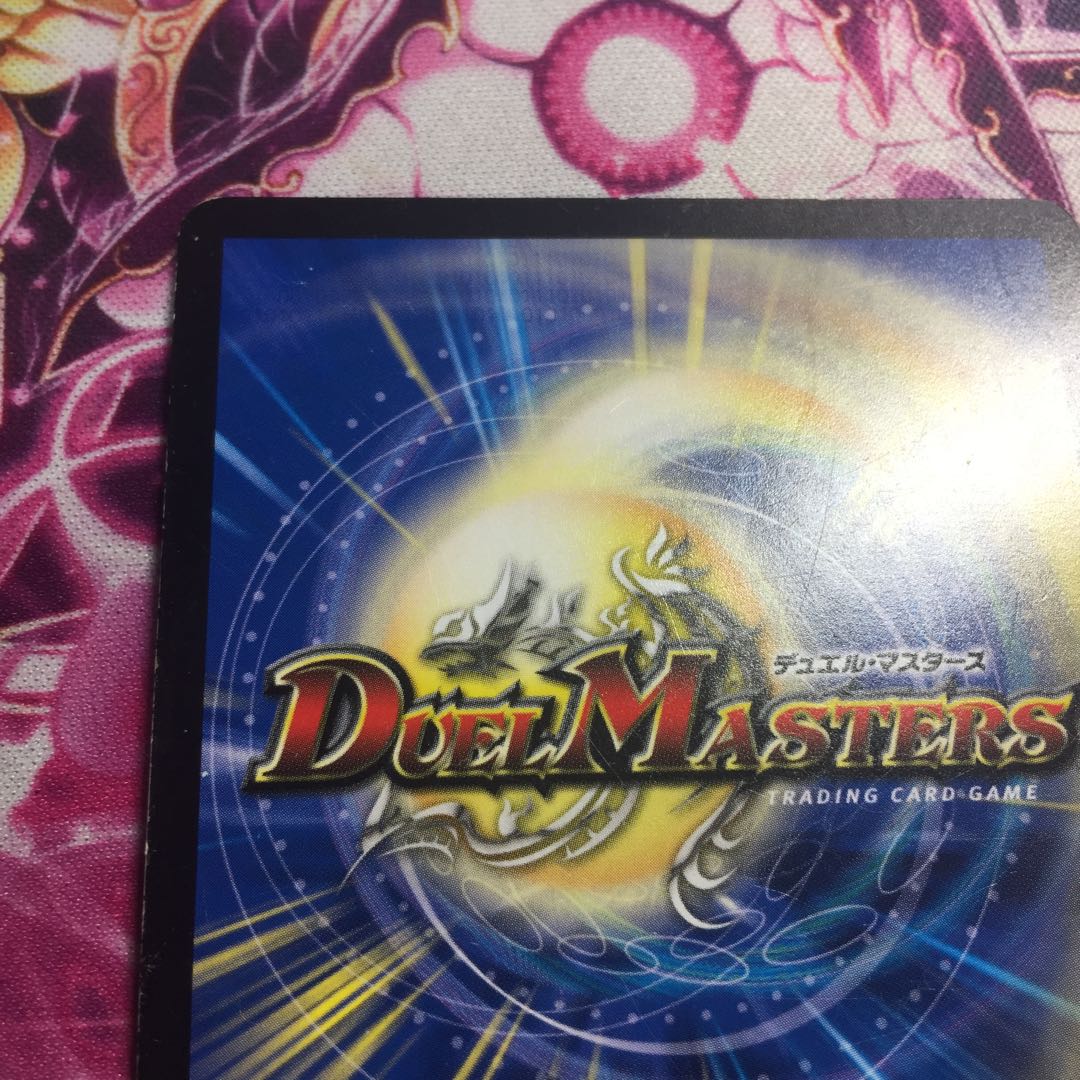 「絶対の楯騎士」