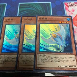 ホワイト・スティングレイ